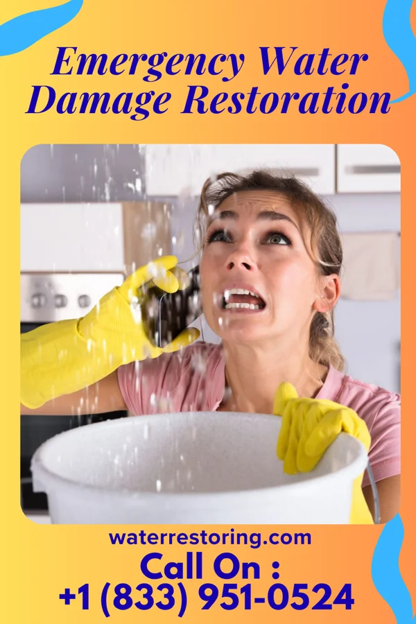 Emergency Water Damage Restoration in Louisville, MS